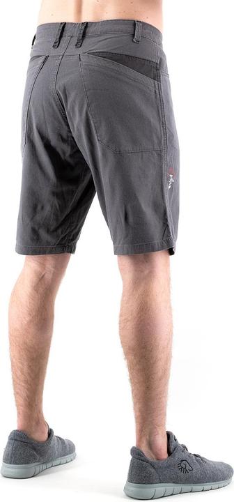 Actual product image Chillaz Elias shorts (L)