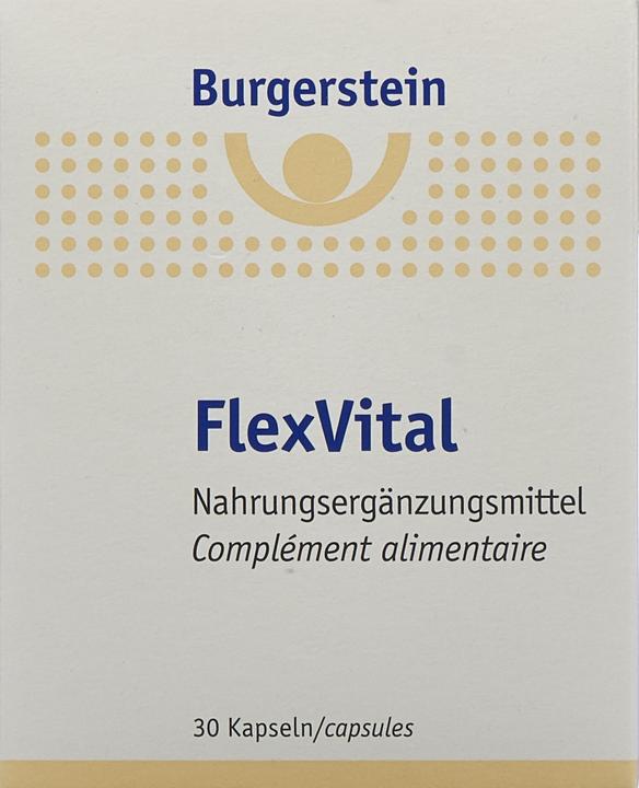 Actual product image Burgerstein FlexVital (1 Piece, Capsules, 38 g)