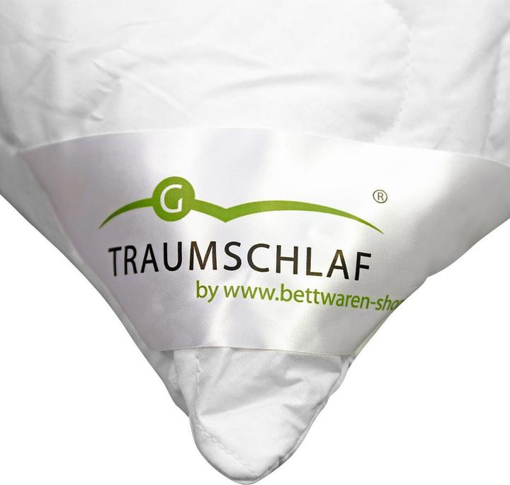 Actual product image Traumschlaf Thinsulate layer cushion (80x80 cm)