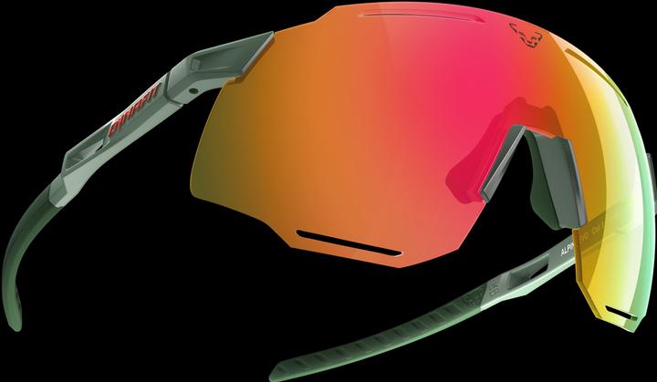 Immagine prodotto Dynafit Occhiali da sole Alpine Evo unisex (Salvia, timo gatto 3, timo gatto 3, Salvia)