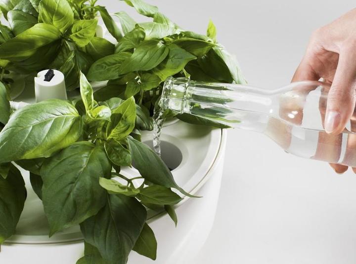 Immagine prodotto Plantui Giardino intelligente (29 cm)