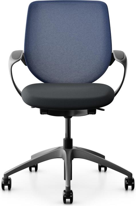 Actual product image Giroflex Netzrücken mit Armlehnen 313