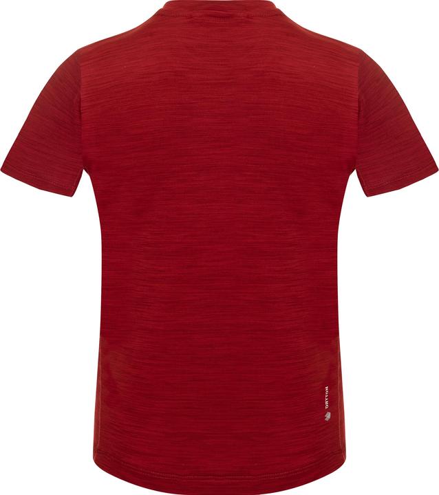 Immagine prodotto Salewa T-shirt Eagle Dry a maniche corte per bambini (140)