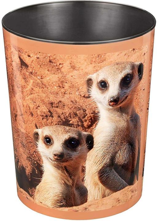 Produktbild Läufer Erdmännchen (13 l)