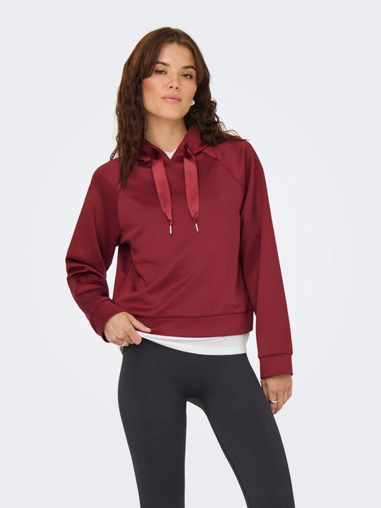 Actual product image Only ONLLUE Sweatshirt Kapuzenpullover (L)