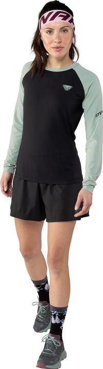 Actual product image Dynafit Alpine Pro Long Sleeve Shirt (40, L)