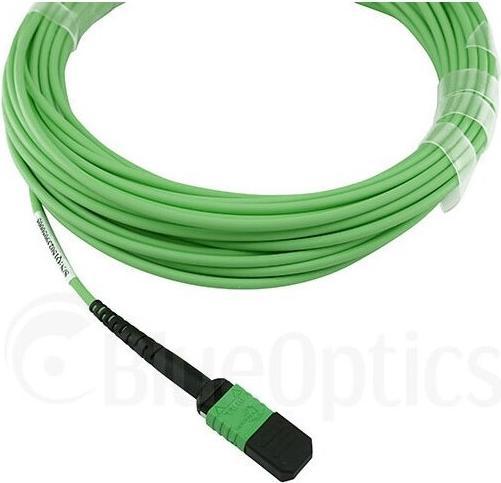Image du produit BlueOptics Fibre optique MTP/APC Câble trunk OM5 16 coeurs 50 mètres type C (50 m)