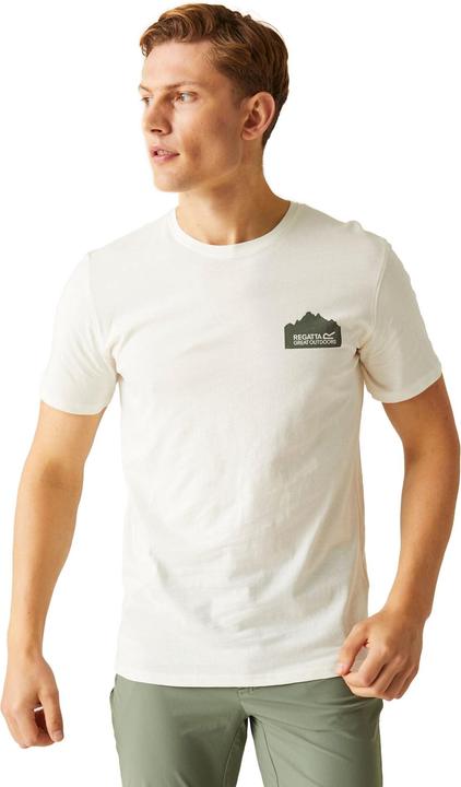 Actual product image Regatta Mens Breezed IV Graphic Print T-Shirt (L)