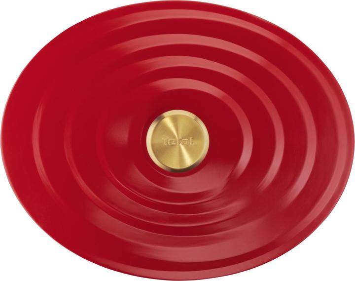 Actual product image Tefal E2548904 (Casserole + Stewpot, Cast aluminium)