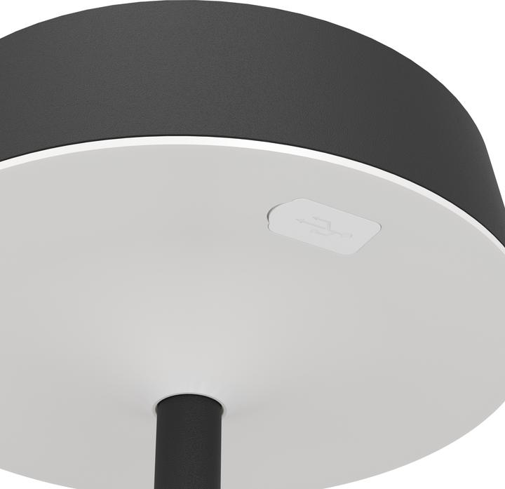 Actual product image EGLO Table lamp (250 lm)