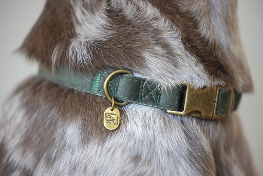 Produktbild Designed by Lotte Hundehalsband Velura (50, Hund, Jogging, Spazieren)