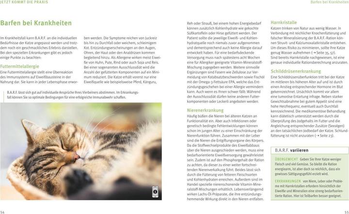 Produktbild BARF für Katzen (64 Stk., 170 g)