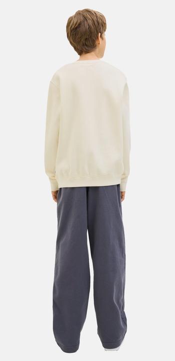 Actual product image Jack & Jones Jcotier Print Sweat Crew Neck Sn Jnr (176)