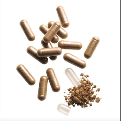Actual product image Padma 28 active (100 Piece, Capsules, 87 g)