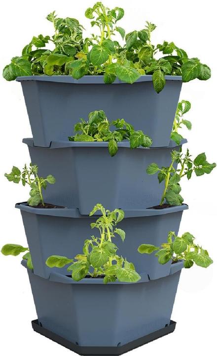 Actual product image Gusta Garden Rearing pots PAUL POTATO Starter, 4 tiers, blue-grey (38.80 cm)