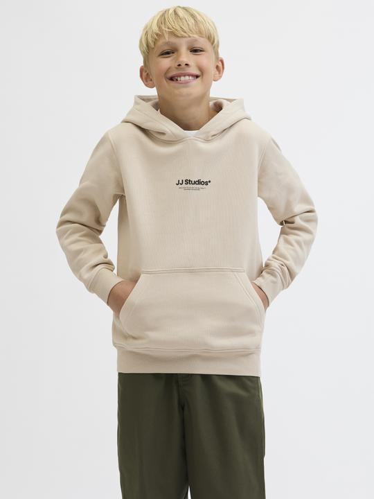 Actual product image Jack & Jones Jjesoho Sweat Hood Noos Jnr (164)