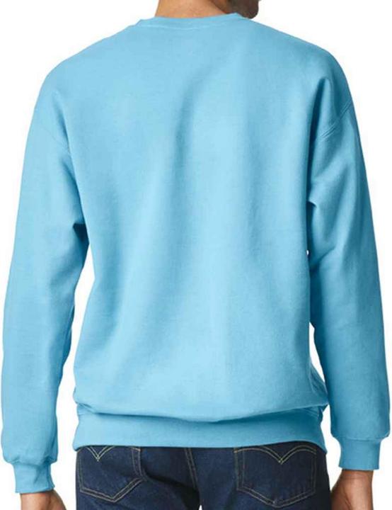 Immagine prodotto Gildan Softstyle Felpa Uomo (L)