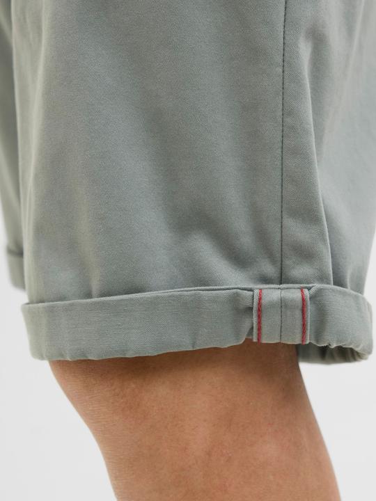 Actual product image Jack & Jones Regular fit chino shorts Chino shorts (XS)