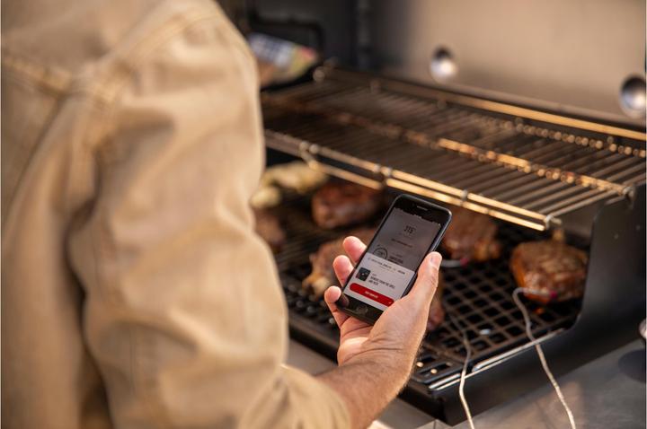 Productafbeelding Weber Genesis E-425s (14.10 kW)