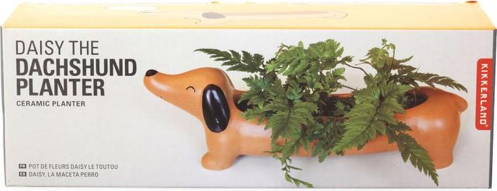 Actual product image Kikkerland Daschand Planter (6 cm)