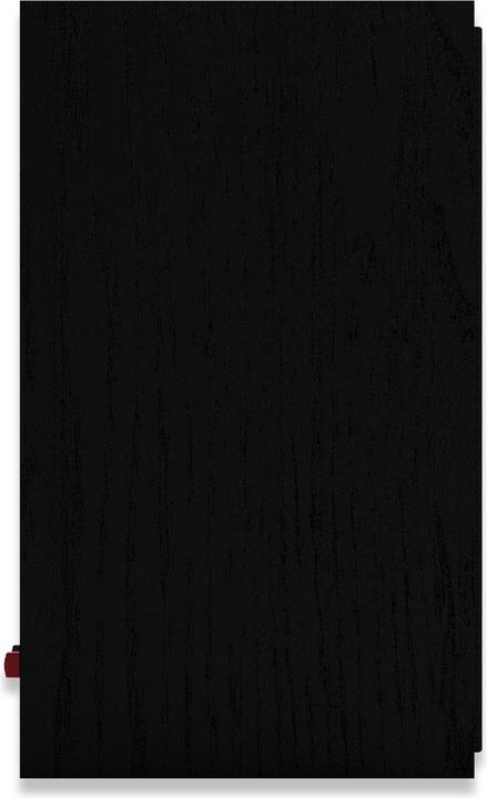 Actual product image Klipsch R-50M (1 pair, 300 W)