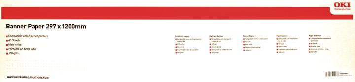 Image du produit OKI Papier banderole (160 g/m², 120 cm, 29.70 cm)