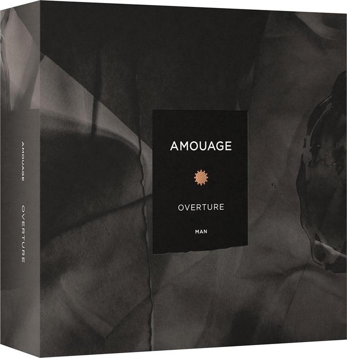Image du produit Amouage Overture (Eau de parfum, 100 ml)