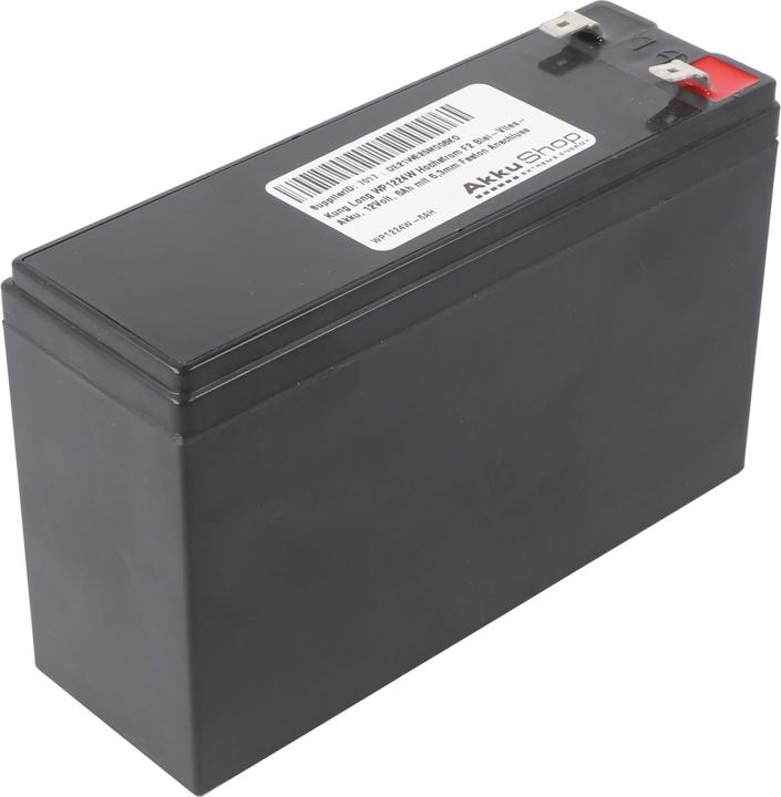 Actual product image Kung Long WP1224W Hochstrom F2 Blei-Vlies-Akku, 12Volt, 6Ah mit 6,3mm Faston Anschluss (12 V, 6 Ah)
