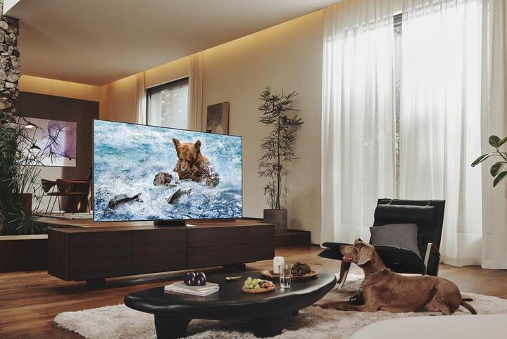 Produktbild Samsung QE65QN900B (65", QN900B, QLED, 8K, 2022)