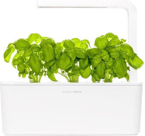 Actual product image Click and Grow Basil (Herb seeds)