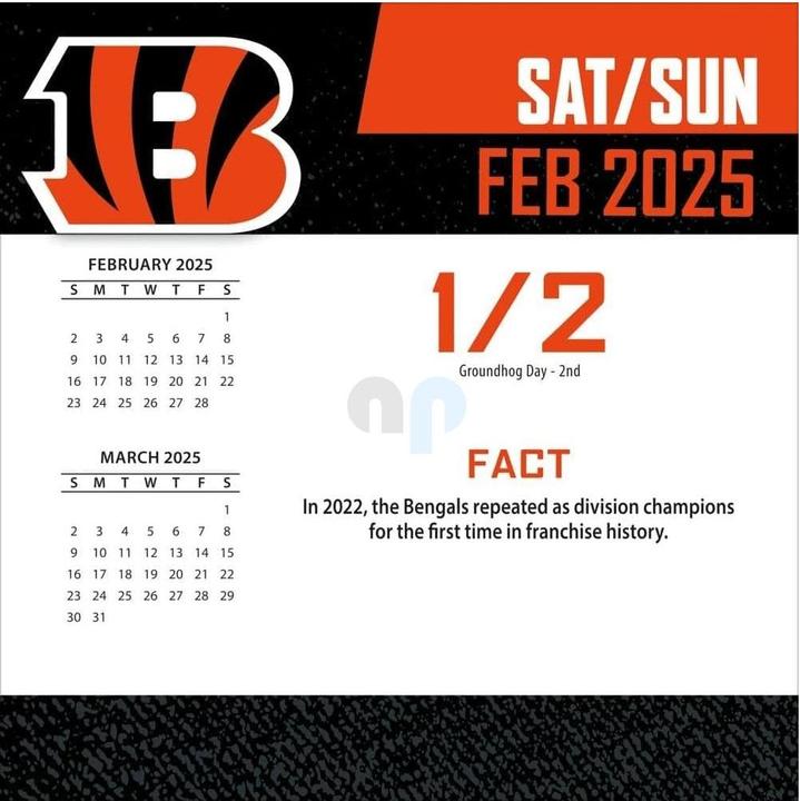 Image du produit NFL - Cincinnati Bengals - Calendrier de bureau 2025 (Allemand, Français, Italien, Espagnol, Anglais)