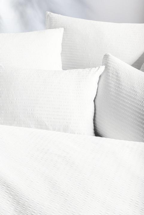 Actual product image Night Fashion Edi (Pillowcase, 50 x 70 cm)