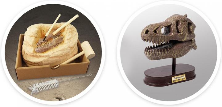 Immagine prodotto Buki Kit per l'esperimento del cranio di dinosauro - Tyrannosaurus