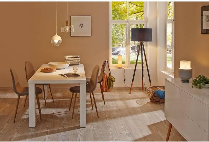 Actual product image Paulmann Neordic skadi (E14)