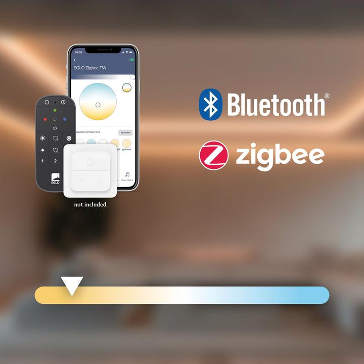 Image du produit EGLO Ampoules LED E14 (E14, 4.90 W, 320 lm, 1 x, G)