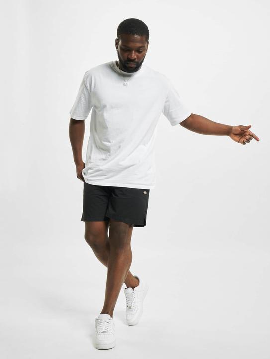 Produktbild Dickies Pelican Rapids Stoff Shorts - 91859