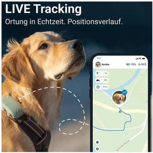 Image du produit Tractive GPS Dog (XL, Chien, Promenade, Jogging, Sport canin)