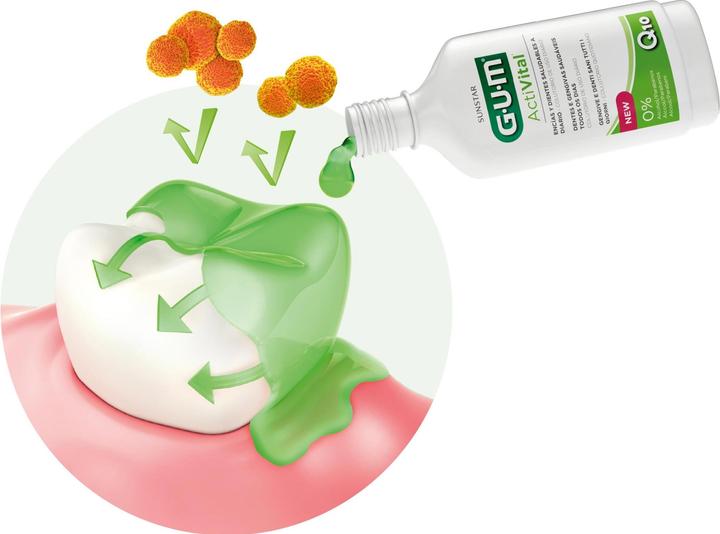 Immagine prodotto GUM Collutorio Activital (300 ml, Collutorio)