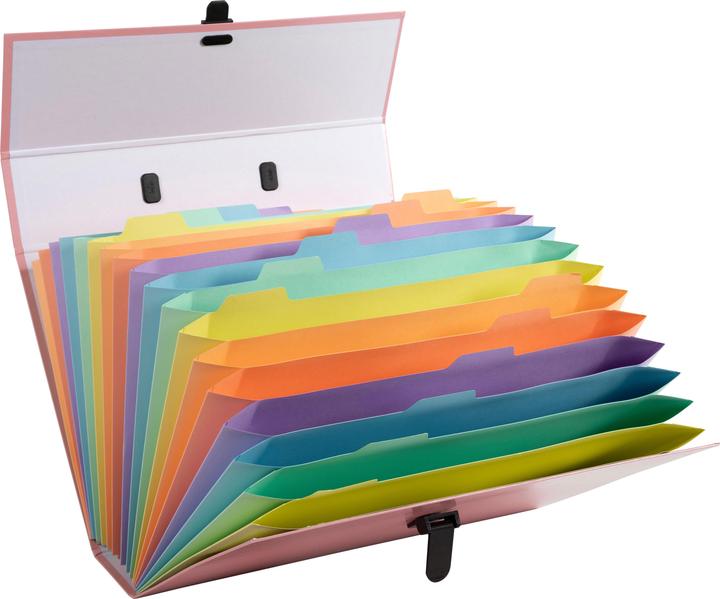 Actual product image Exacompta Fächermappen (A4, 1 x)