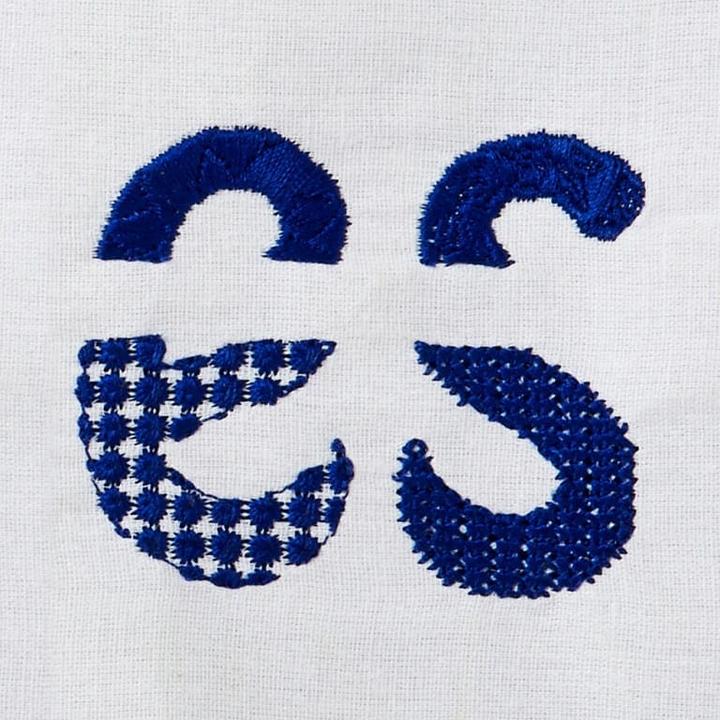 Actual product image Bernina DesignerPlus Update