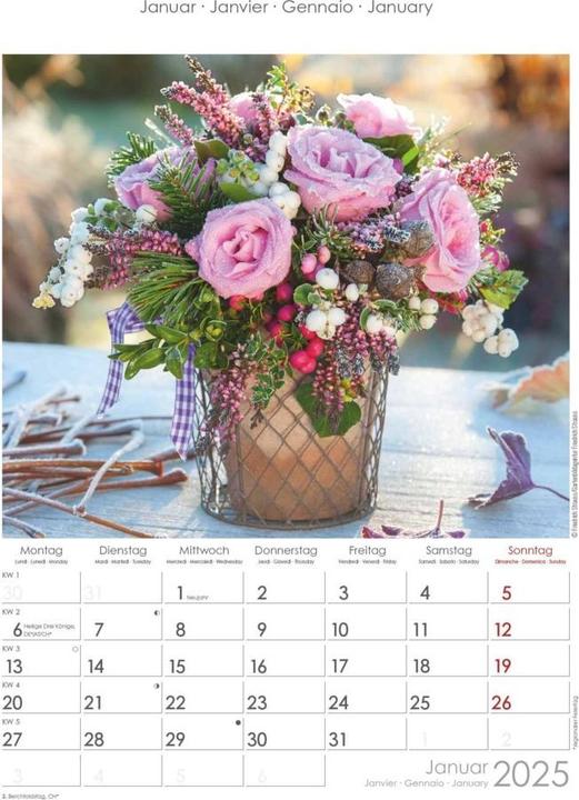 Produktbild Alpha Edition Rosenträume 2025 Bildkalender, 23,7x34cm, Wandkalender mit Platz für Notizen und (Harter Einband, Deutsch, Italienisch, Französisch, Englisch)