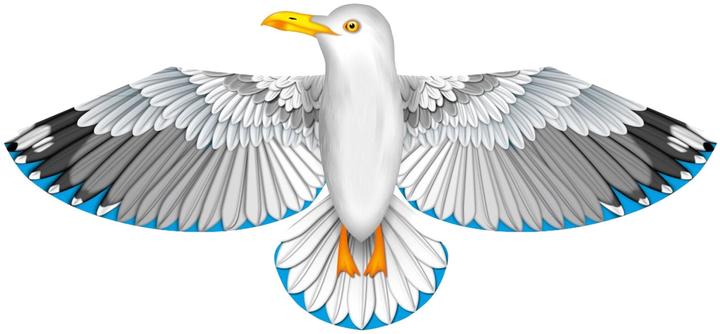 Produktbild Invento Drachen HQ Bird Kite Seagull