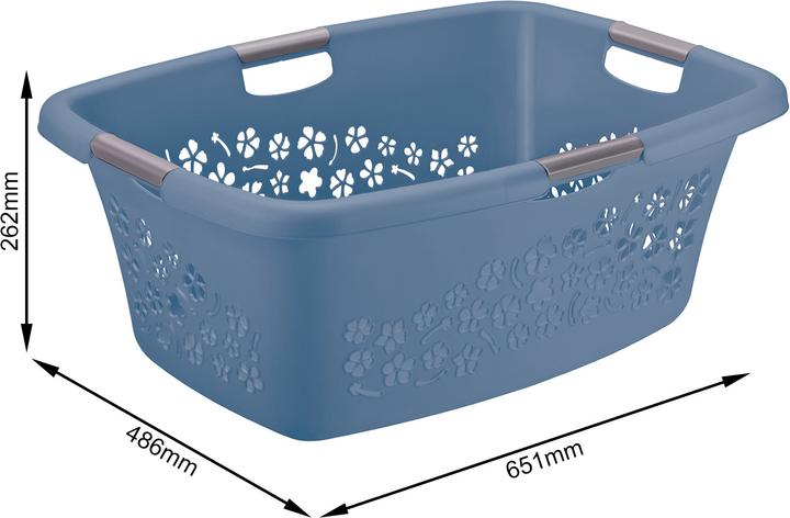 Immagine prodotto Rotho Fiori (50 l)