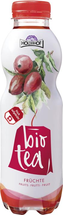 Actual product image Holderhof Ice Tea Fruits Organic (1 x 50 cl)