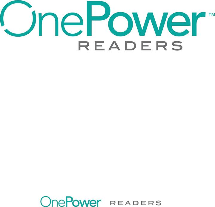 Produktbild nikkoTv One Power Readers - die Mehrstärkenbrille Sonnenbrille