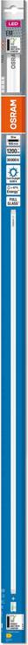 Image du produit Osram Led Tube T8 Em (G13, 10 W, 1200 lm, 1 x, E)