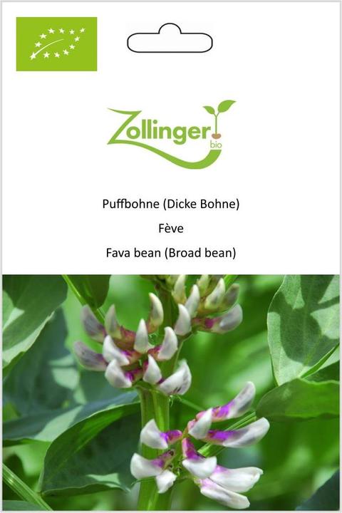 Produktbild Zollinger Bio Puffbohne (Dicke Bohne) (Keimlinge)