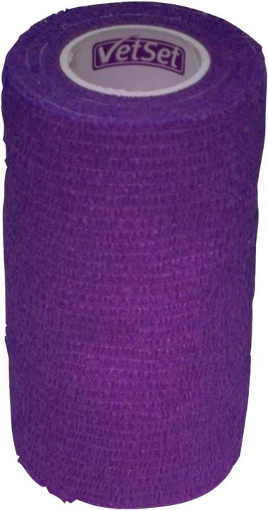Viola