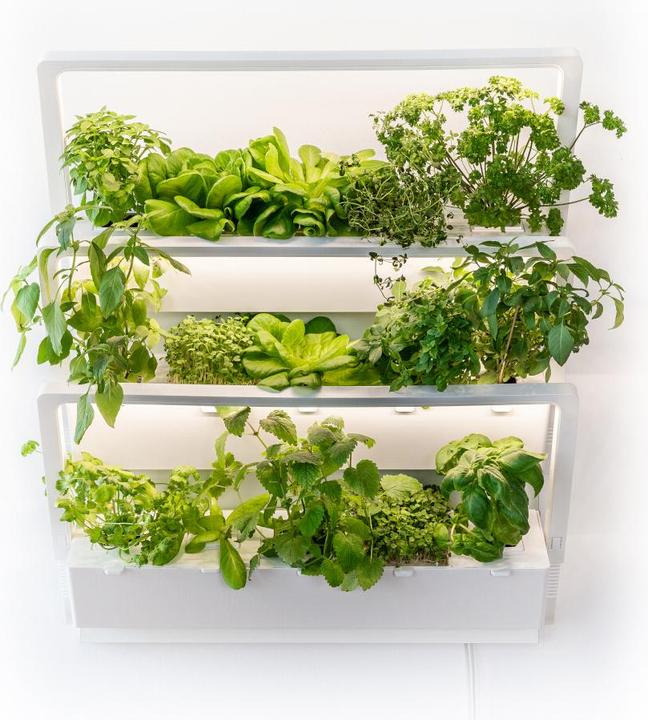 Produktbild Urbanhive Homefarm Premiumset