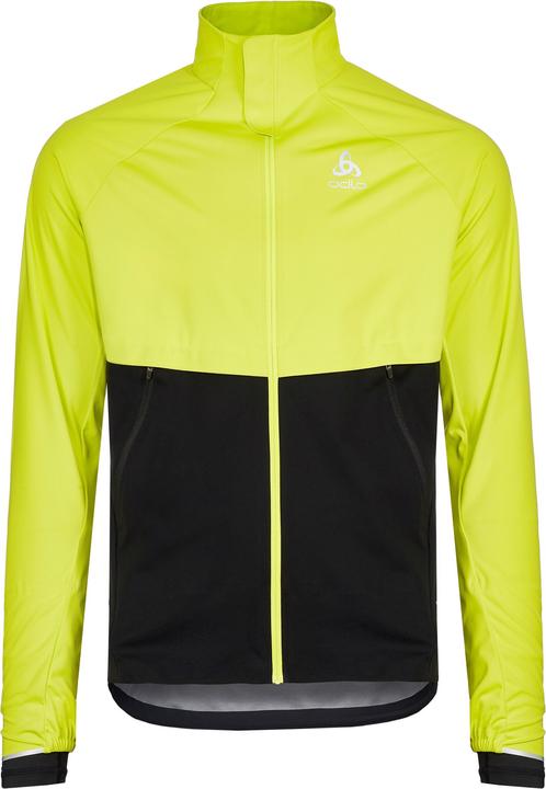 evening primrose - black